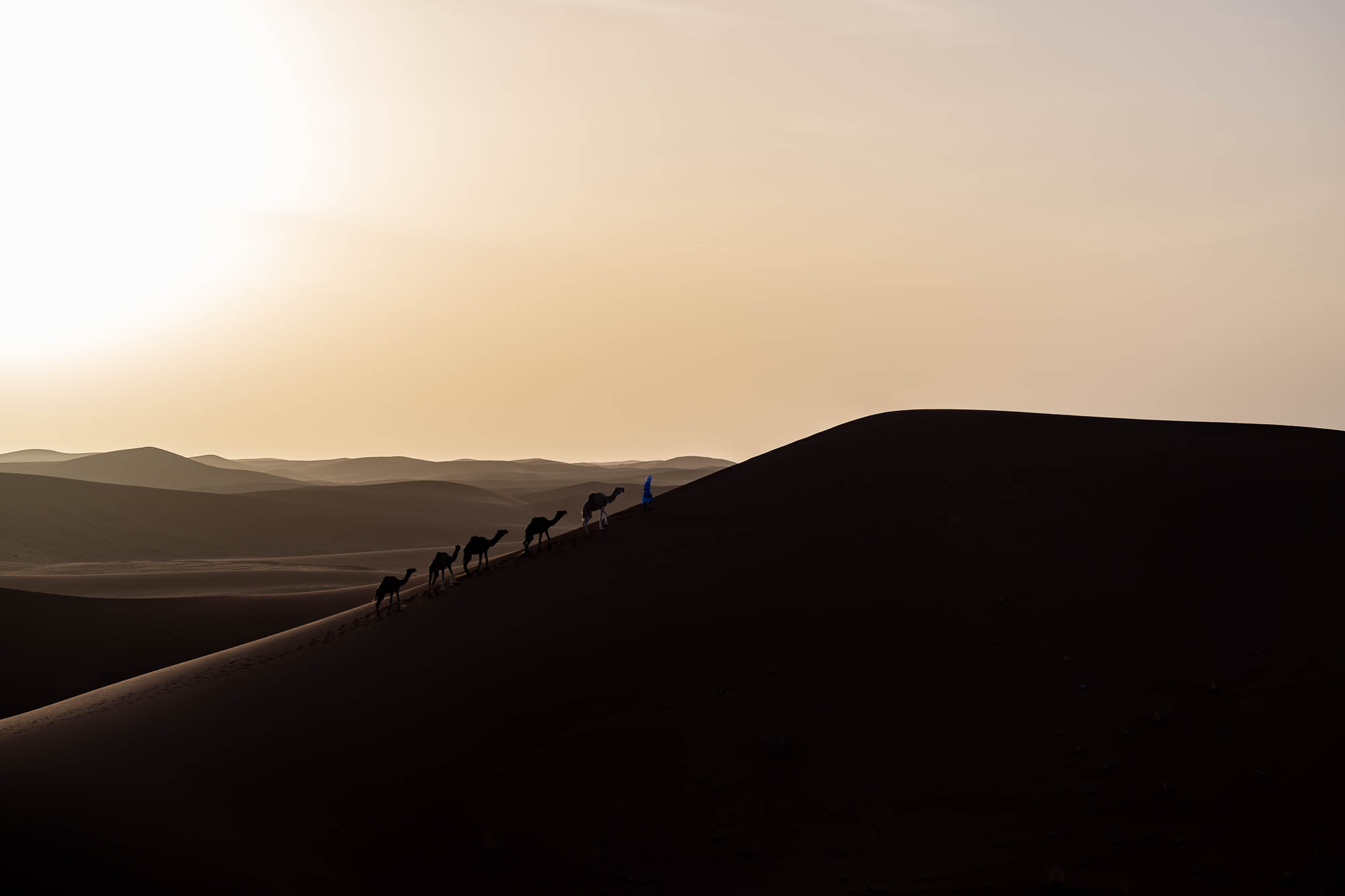 caravane chamelière lors d'un voyage photographique dans le désert du Sahara au Maroc