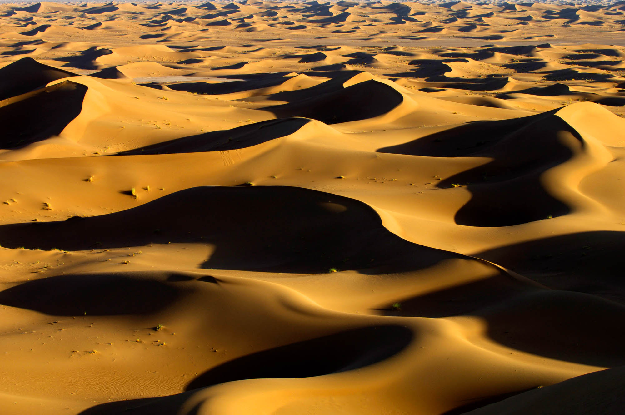 désert du Sahara lors d'un voyage photo au Maroc