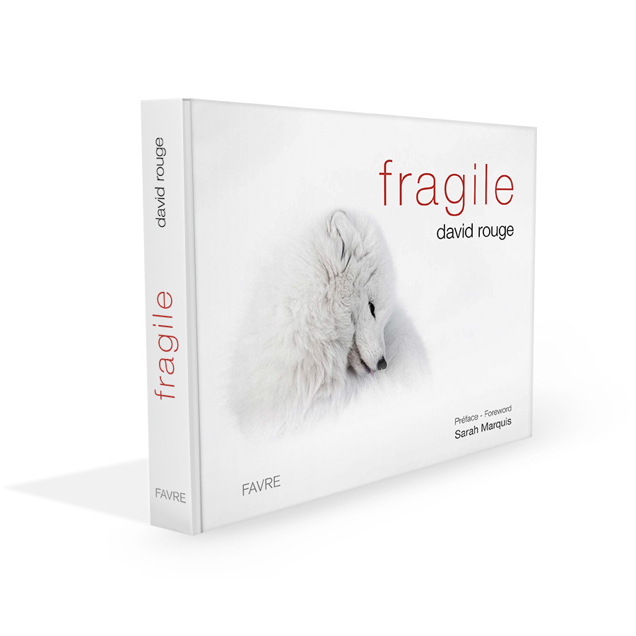 beau livre fragile de David Rouge Beau livre fragile aux éditions Favre, Auteur David Rouge