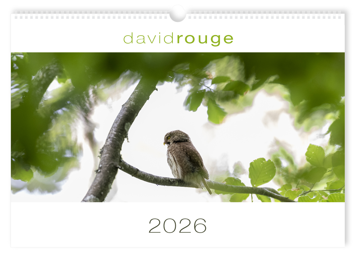 calendrier_2026_couverture