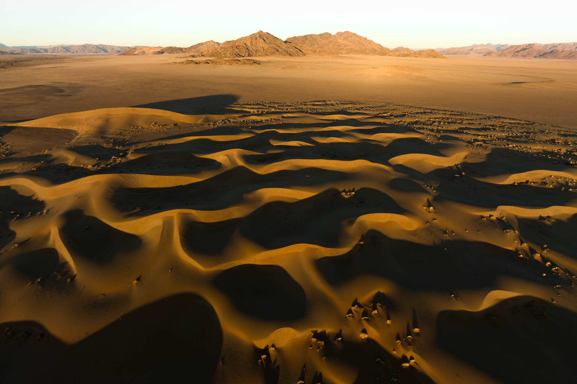 dune de sable dans le désert du namib