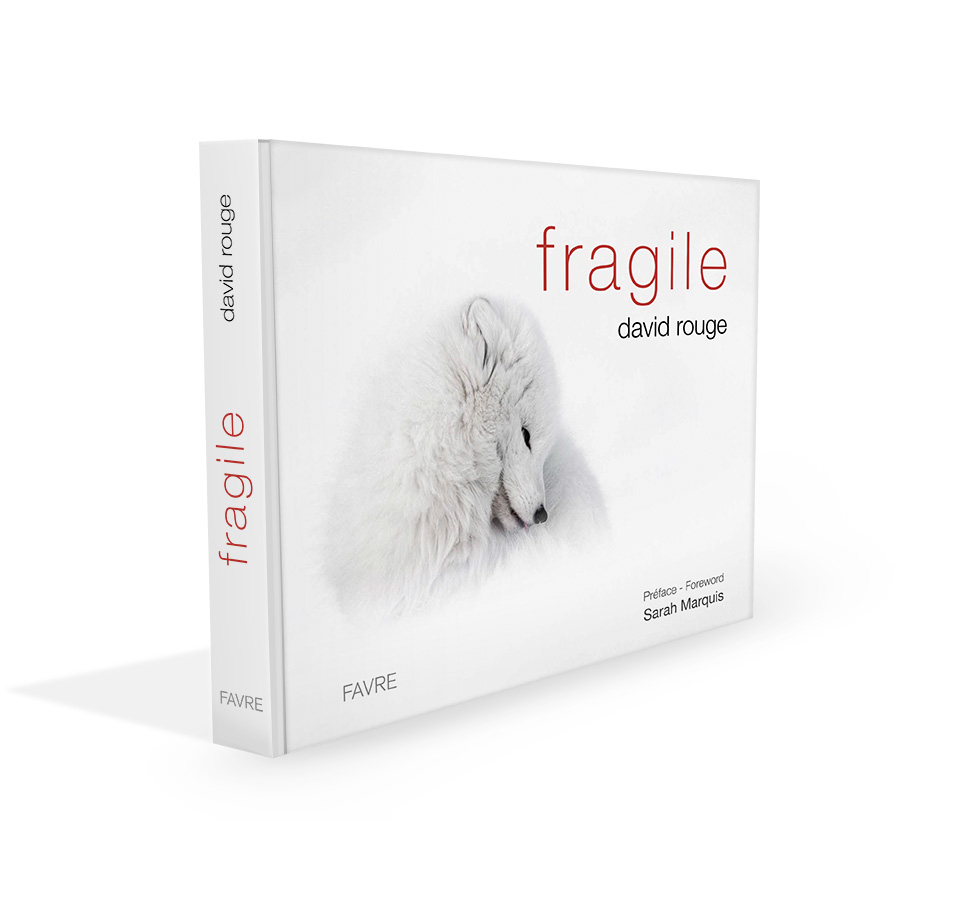 Beau livre fragile aux éditions Favre, Auteur David Rouge