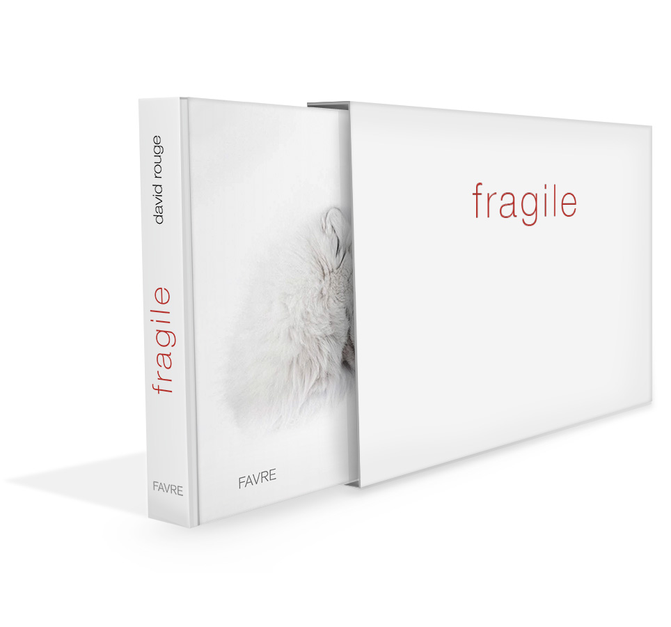 version de luxe du beau livre fragile aux éditions Favre, Auteur David Rouge
